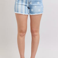 The Bell Star & Stripe Bleach Fray Hem Shorts