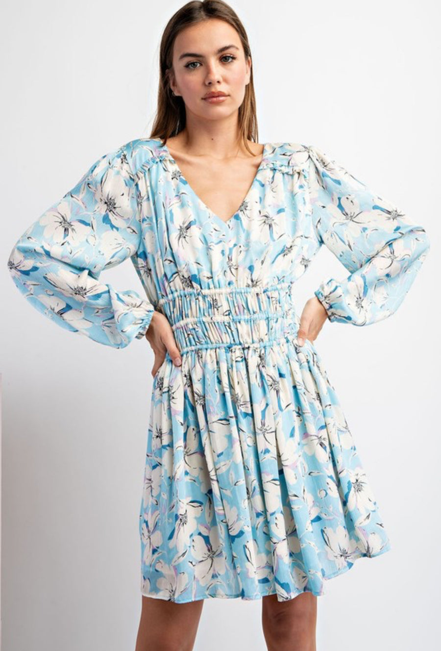 The Brianna Blue Floral Dress