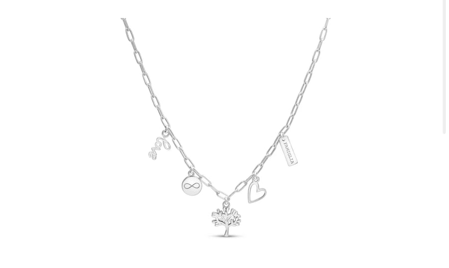 Ain’t No Family Like the One I Got Charm Necklace