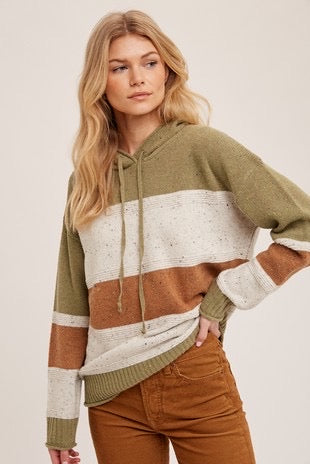 Spicy Combo Color Block Hooded Sweater