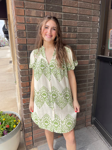 The Iris Button Down Mini Dress