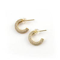 Erimish Hoopy Earring (Gold & Silver)