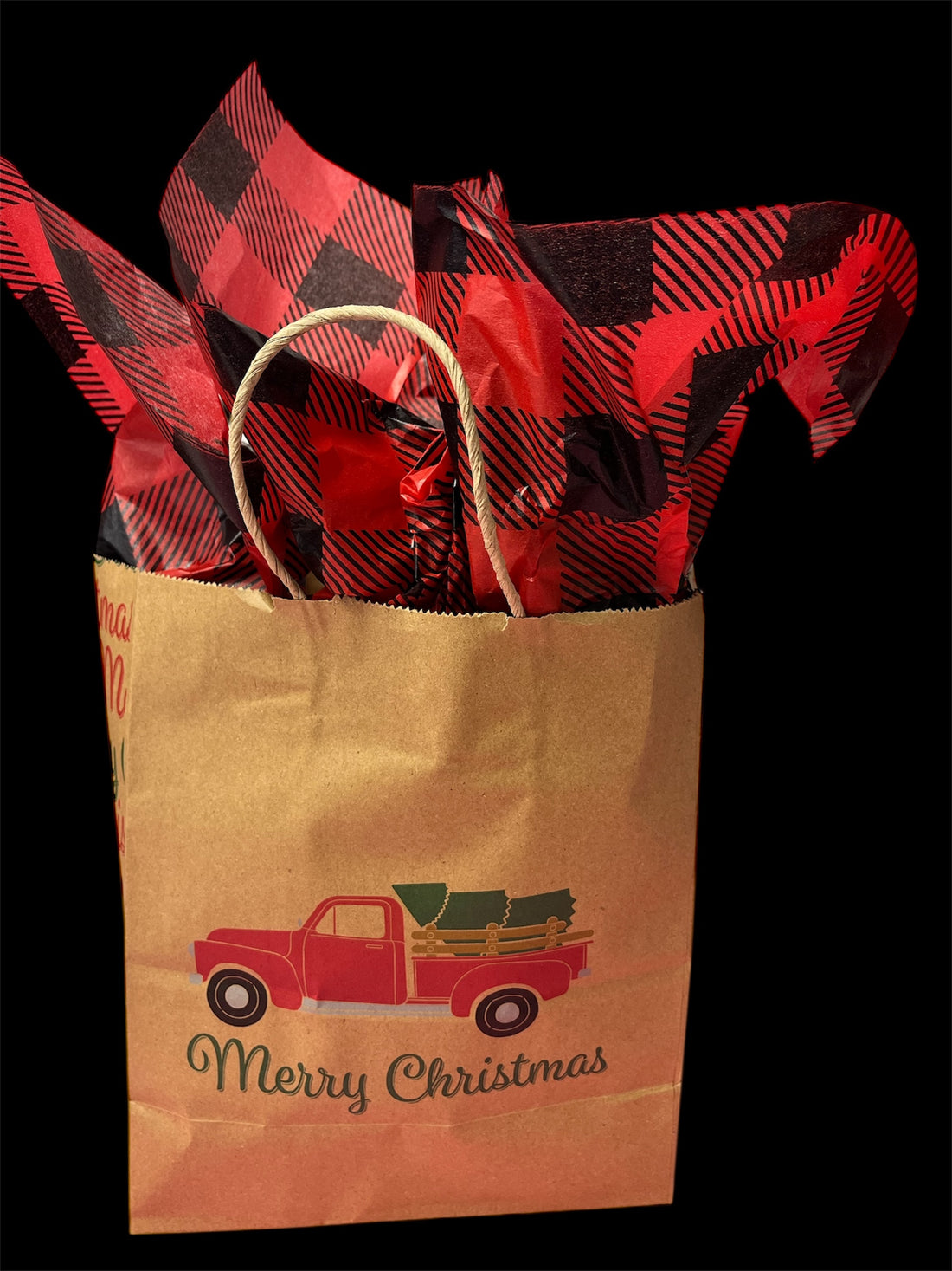 Christmas Suprise Gift Bag