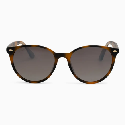 DAX-Asher Polarized Sunglasses