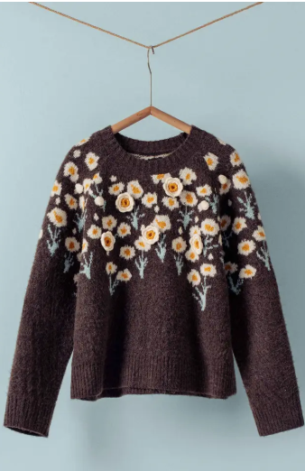 Daisy sweater fall