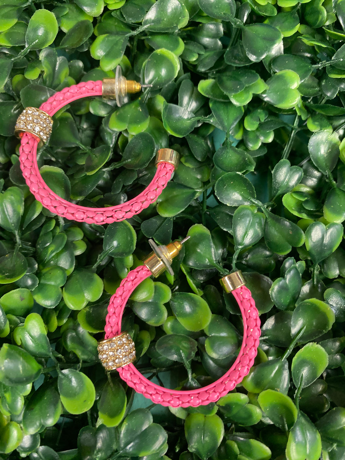 Hot Pink Hoops Earrings