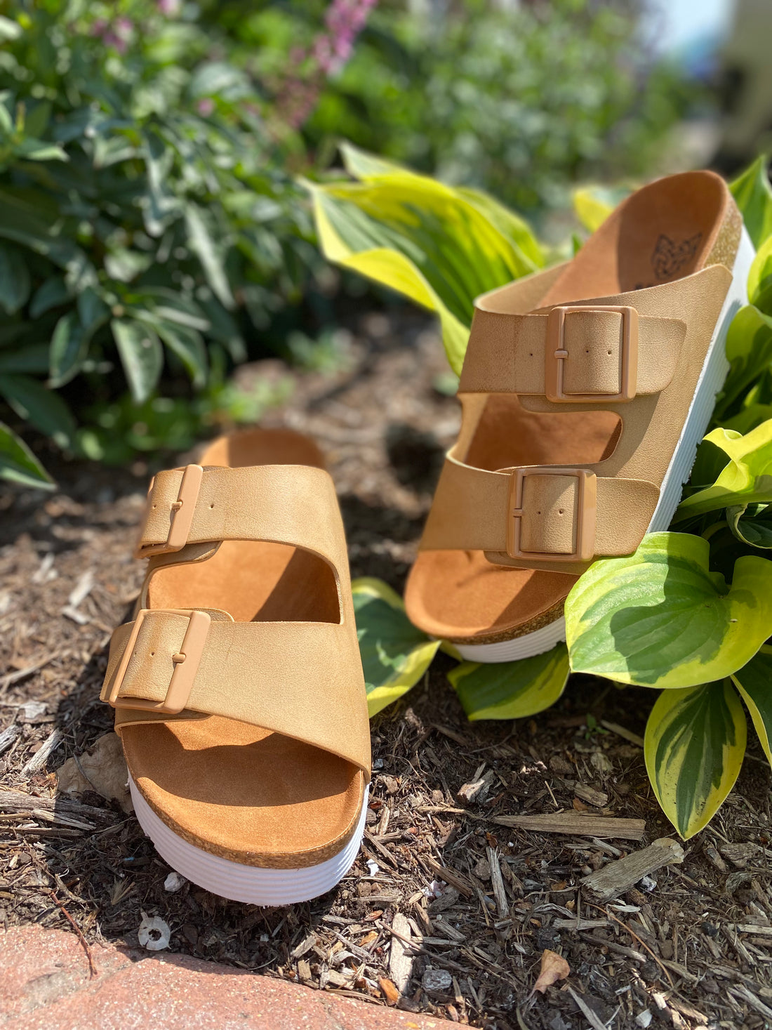 The Vanessa Beast Taupe Buckle Sandals