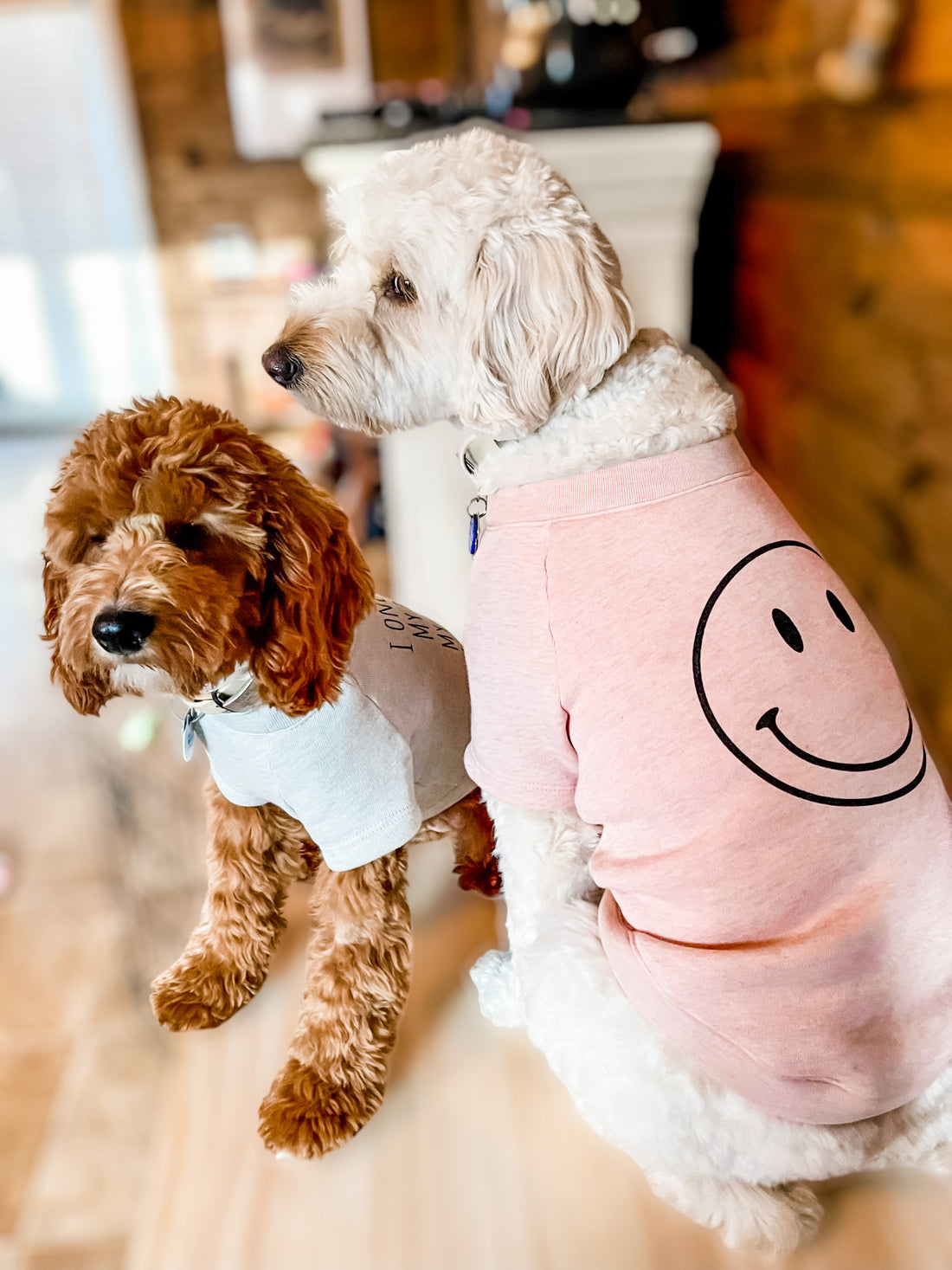 Dog Crewneck Happy Face Rose